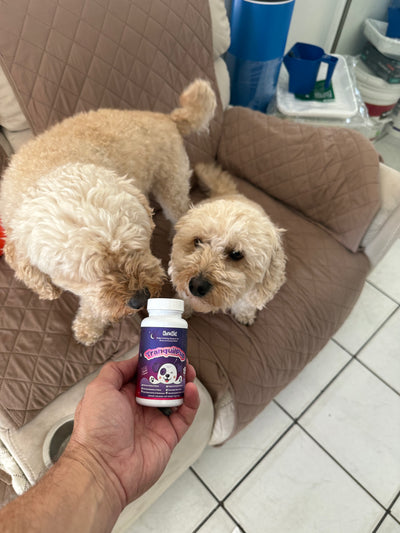 Customer photo