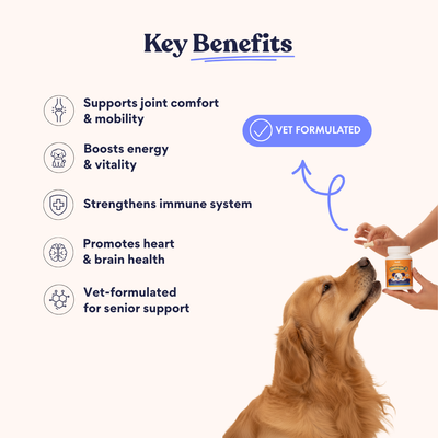 Vida para personas mayores