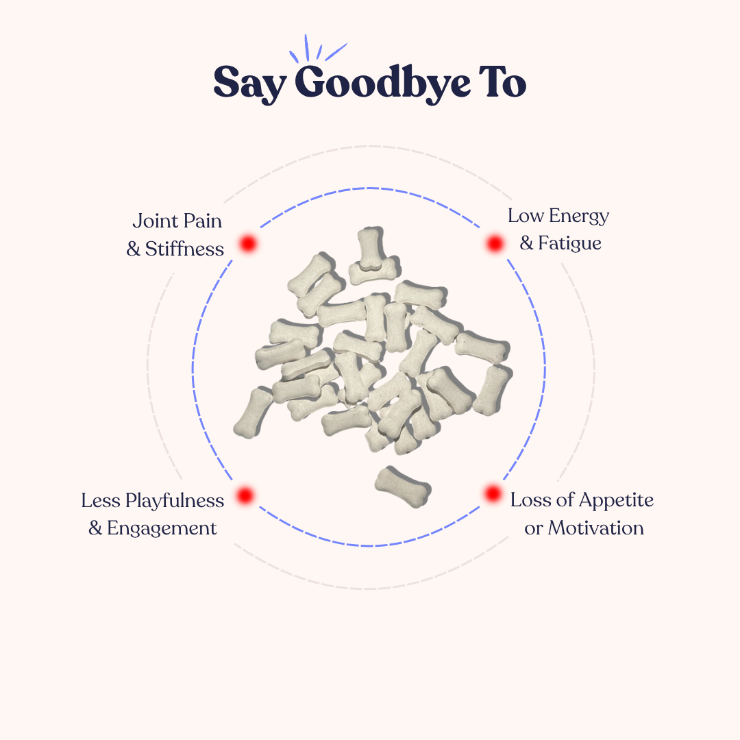 Vida para personas mayores