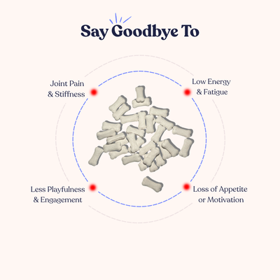 Vida para personas mayores