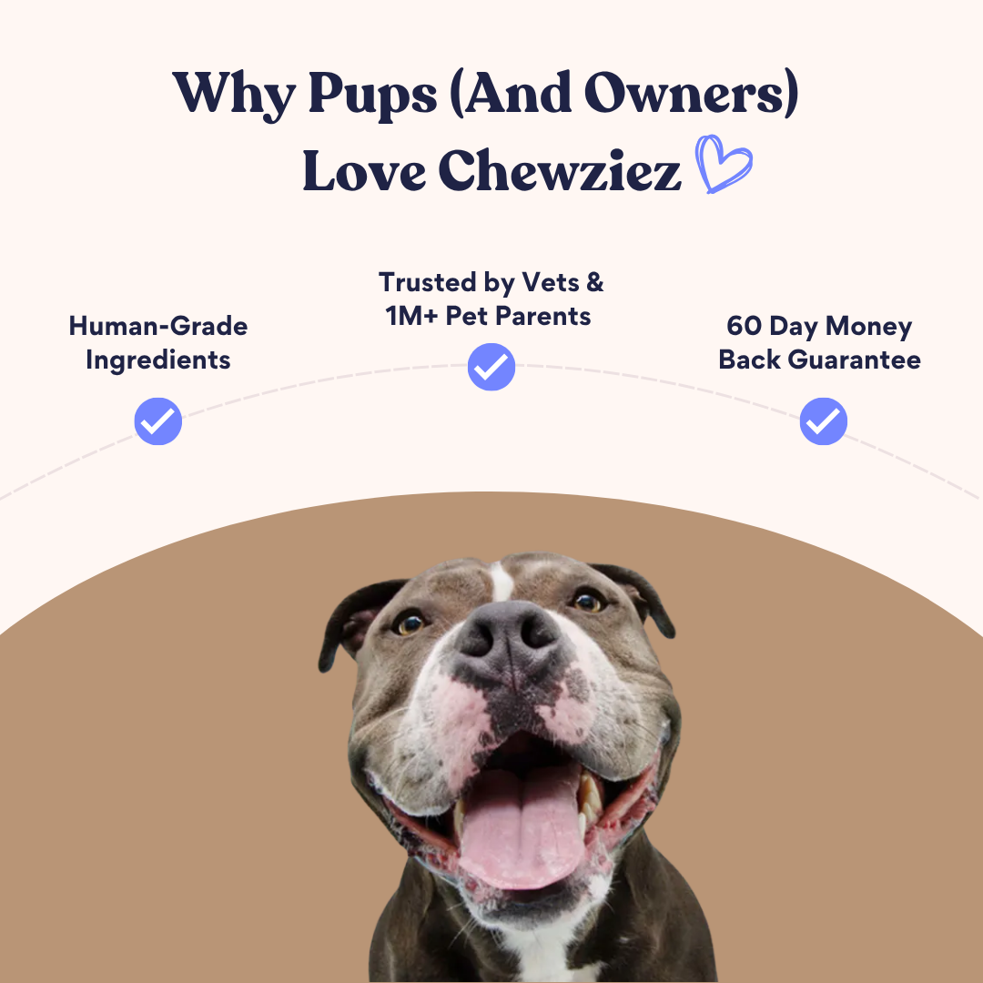 Vida para personas mayores